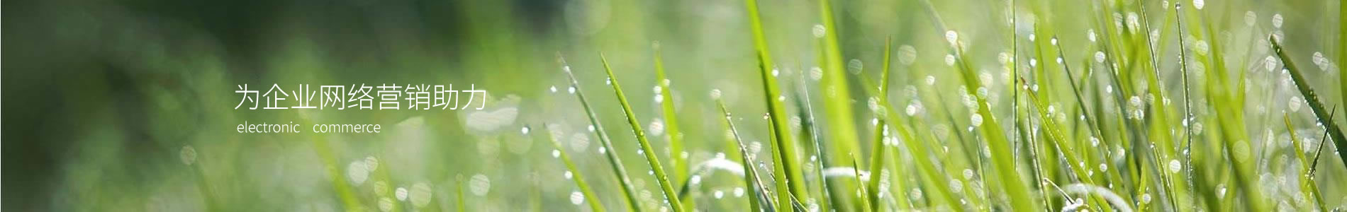 ӱǧҵ޹˾